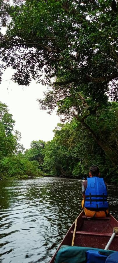Belebar Studio Room Taman Negara Pahang Malaysia Kuala Tahan Kültér fotó