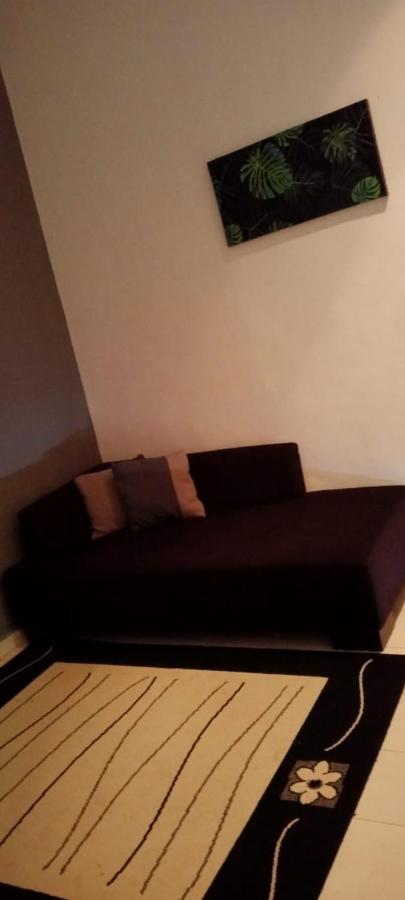 Belebar Studio Room Taman Negara Pahang Malaysia Kuala Tahan Kültér fotó